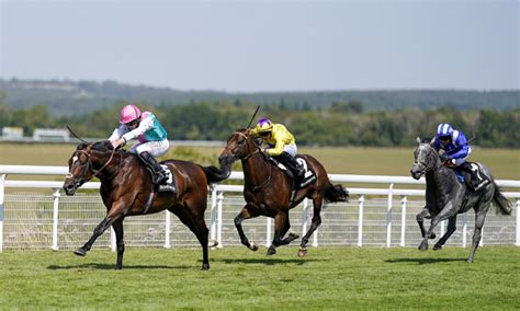 goodwood placepot|horse racing placepot.